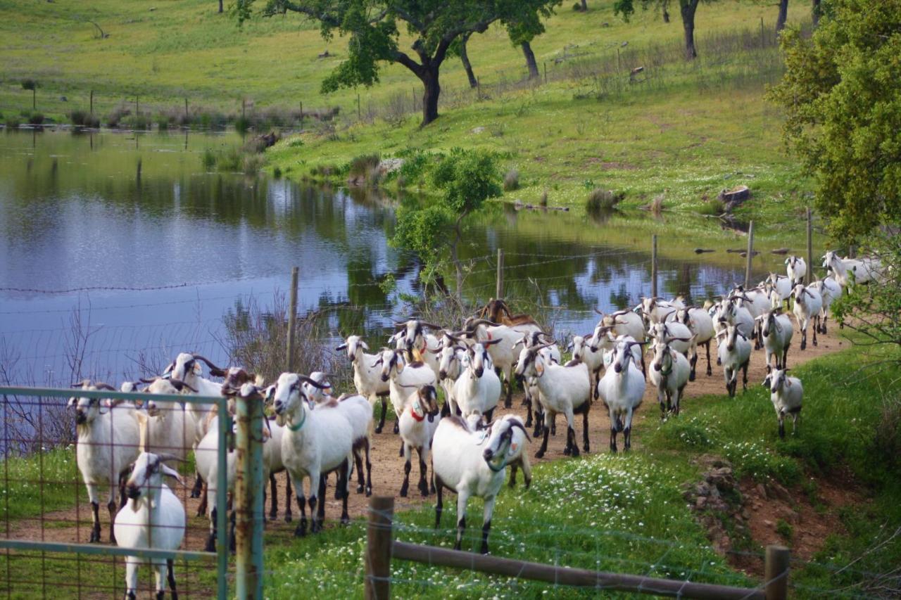 Herdade Vale de Cabras Portel Exterior foto